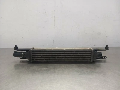 866450000 intercooler per FIAT GRANDE PUNTO (199) 1016705 - Immagine 1 di 4