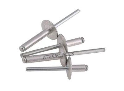 RIVETTI A STRAPPO IN ACCIAIO INOX TESTA LARGA MM.4 MM.4,8 VARIE LUNGHEZZE - Immagine 1 di 3