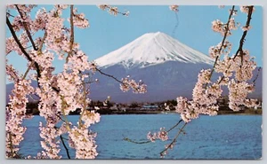 Mt. Cartolina Giappone Fuji e Fiori di Ciliegio - Foto 1 di 2