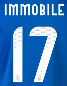 Juego de nombres oficiales Euro 2024 (juego de nombres y números) - Imagen 1 de 27