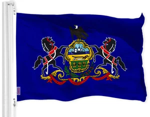 Pennsylvania PA State Flag 3x5 FT Printed 150D Polyester Keystone State By G128 - Picture 1 of 5