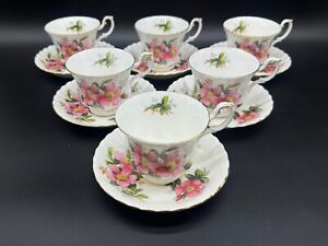 Royal Albert Prairie Rose Tea Cup Saucer Sets(Set of 6) Bone China England
