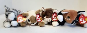 Ty Beanie Babies Snip Chip Pounce Prance Kitten Cat Beanie Stuffed Plush Lot - Picture 1 of 8