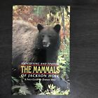 Identifying And Finding The Mammals Of Jackson Hole A Field Guide By Darwin Wile