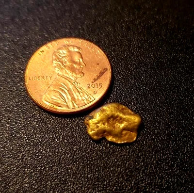 1.46 almost a gram and a half GOLD Nugget, Flakes, Fines, Bullion, Large Nugget, - Image 1 of 3
