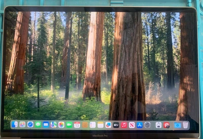 Genuine Apple MacBook Pro 16" A2141 LCD Screen panel 2019 EMC 3347 Grey- - Image 1 of 4