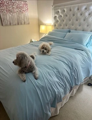 REST Evercool Flat Sheet Only King Size, Breathable Luxury Bedding Open Box