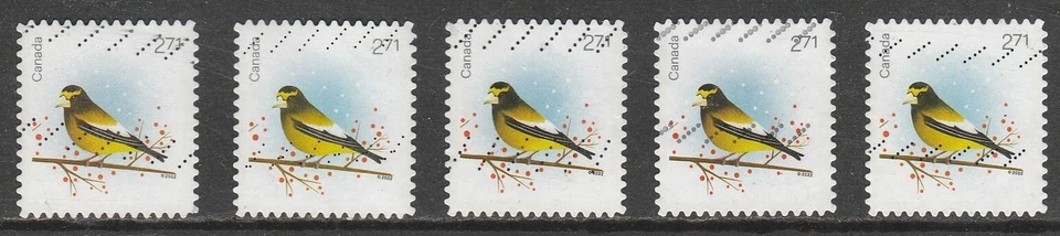 Pájaro de Navidad Canadá 2022 X 5 Foto 1 de 1