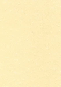 DECAdry Letterhead Presentation Paper Everyday 95gsm A4 Champagne Ref DPPCL1601 - Bild 1 von 2