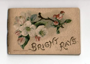 Daily Strength & Bright Rays Antique Illustrated Books w/Daily Verses, German - Imagen 1 de 9