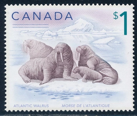 Canada - Animal Walrus MNH Stamp 1998 (#1689) Cover