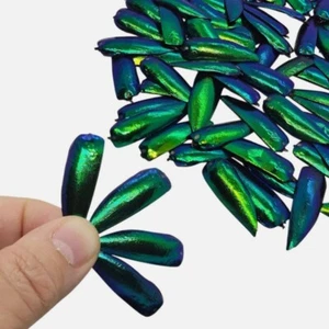 50 pcs Green Jewel Beetle Wings Set Making Metallic Beetles Wing Covers Real Art - Picture 1 of 5