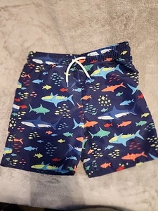B Cool Boys Shark Swim Trunks Size 8 - Picture 1 of 3