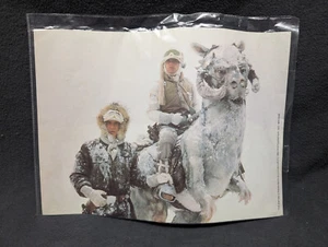 Star Wars Empire Strikes Back 8X11 Lobby Card Luke Skywalker Han Solo Tauntaun - Picture 1 of 5