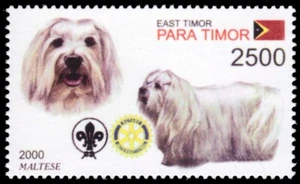 "Timor Oriental 2001l - Perros del Mundo ""Maltés"" (pb74136+) - Imagen 1 de 1