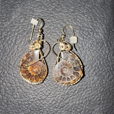 Ammonite fossil nautilus handmade Wired Gold dangle earrings shells Opalized - Image 1 of 3