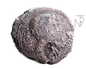NARBO-Gaul (Ottaviano) Contromarca Anubi per l'EGITTO - Imagen 1 de 9