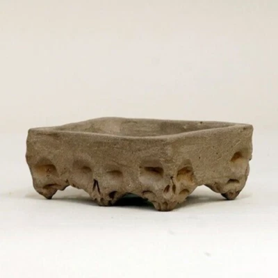 Swedish artist Thor Holvila signed Bonsai pot Skull motif Rectangle w3.1" *761 - Image 1 of 4