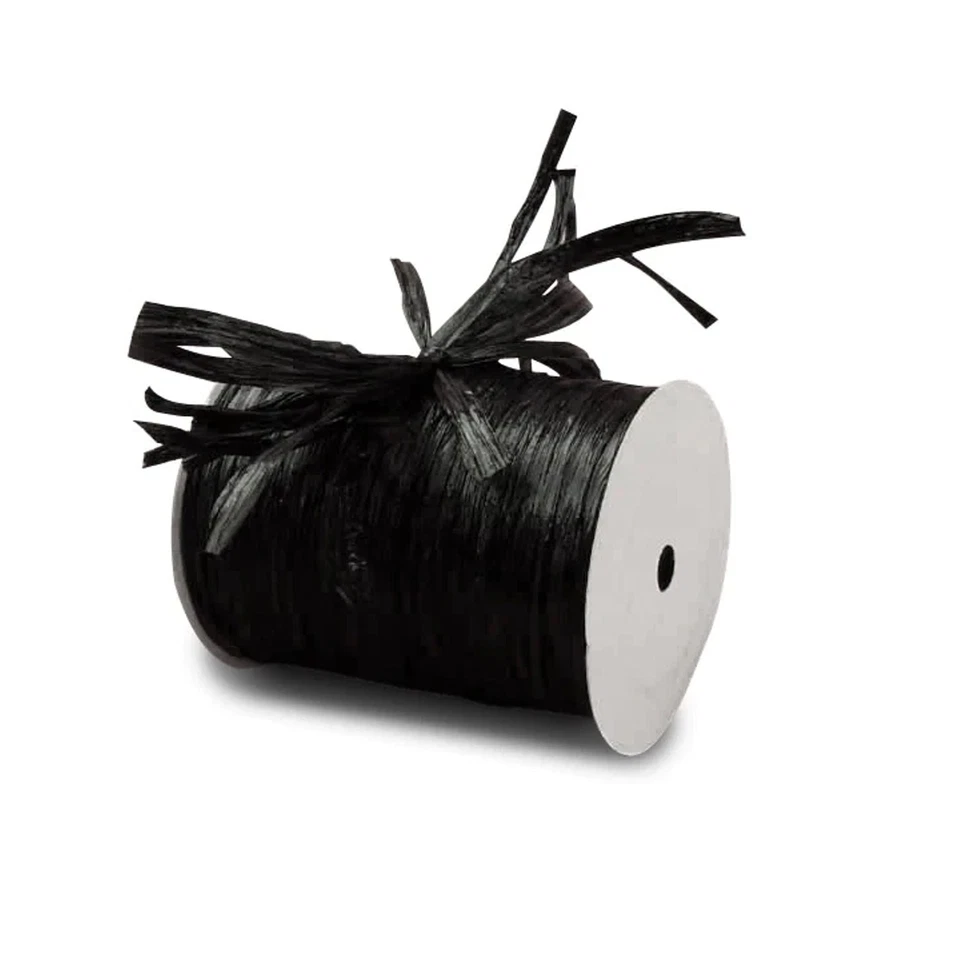 Black Raffia Ties | Black Raffia Ribbon - Matte - 1/4in. x 100 Yds (pm4434820) - Image 1 of 1