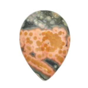 Ozeanjaspis 18x5x6 mm CAB Cabochon ZB010011 - Bild 1 von 5