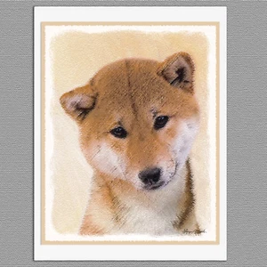 6 Shiba Inu Roter Hund Blanko Kunst Notiz Grußkarten - Bild 1 von 1