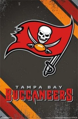 2014 TAMPA BAY BUCCANEERS FLAG LOGO POSTER NEW 22x34 TRENDS #13485FREE SHIPPING Cover