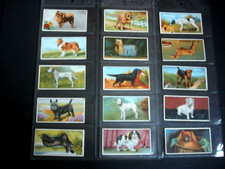 MAJOR DRAPKIN CIGARETTE CARD SET - DOGS AND THEIR TREATMENT - 15 LARGE CARD SET.