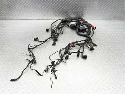 2011 06-16 BMW R1200R Main Engine Wire Harness Wiring Loom OEM - Imagem 1 de 4