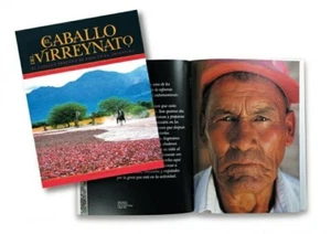 El Caballo del Virreinato von Gonzalo Berro - Bild 1 von 4