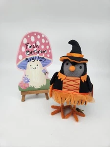 featherly friends Kettle witch halloween 2021 - Picture 1 of 1