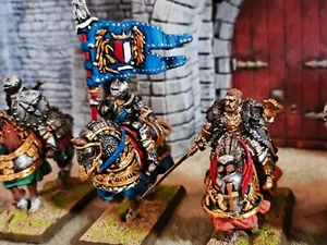 Warhammer Medieval Empire - Heavy Mounted Knights Unit /state of art pro painted - Picture 1 of 23