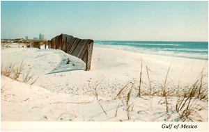 Postcard Beautiful White Sandy Beach of the Gulf of Mexico, FL - Picture 1 of 2