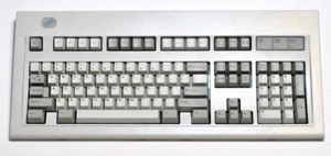 Llaves genuinas cúpula de goma IBM modelo M (1 pieza tapa de llave/vástago de llave) **LEER** - Imagen 1 de 1