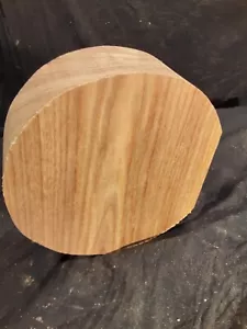 Dry Red Elm Bowl Blanks 3 1 x 9 Inches Lathe Turning Craft Lumber Ap06 - Picture 1 of 3