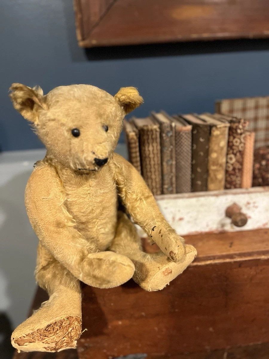 Steiff Bear 1905 for sale | eBay