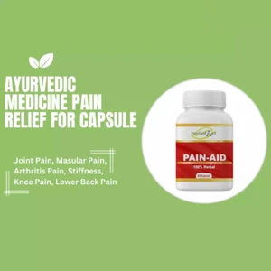 Pain-Aid 60 Kapseln | Tägliche Unterstützung der Gelenk- & Muskelfunktion - Bild 1 von 7
