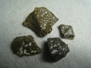 Fossilien in Quarz Jaspis Feuerstein Menge 4 E. Kansas 27,4 Gramm insgesamt - Bild 1 von 19