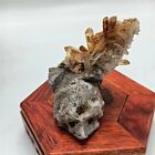 138g Natural Chrysanthemum Quartz Hand Carved Hedgehog Skull Crystal Reiki Gem