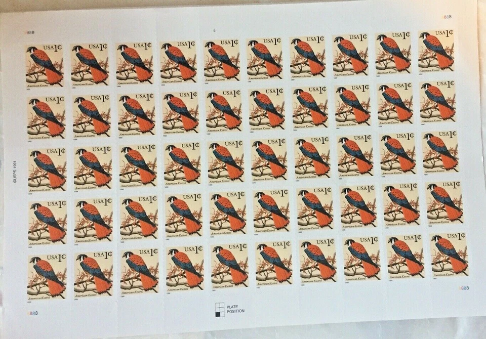 US American Kestrel 1c sheet (50 stamps) MNH 1999 - Image 1 of 3