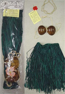 Hawaiian Hula Dance Grass Skirt Set Real Raffia Coconut Bra Lei Hair Flower New - Picture 1 of 2