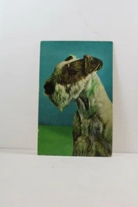 Dog Squeaker Postcard 39635 - Picture 1 of 2