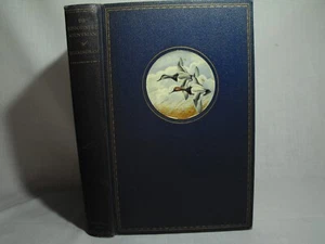 Rare Classic- *DE SHOOTINEST GENT'MAN by Nash Buckingham- signed #335 of 950 - Picture 1 of 9