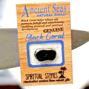 Handmade Refrigerator Black Coral Cabochon on a Mahogany Wood Base 3x2 inch - Picture 1 of 9