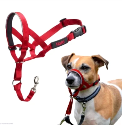 HALTI Headcollar #1 venta arnés cabeza perro sin tirón, talla 1 ajustable Foto 1 de 4