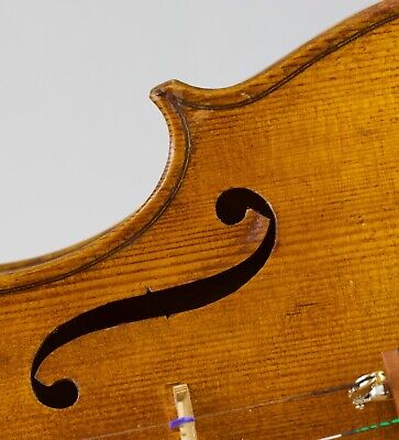 Old Violin 4/4 Geige Viola Cello Fiddle Label FRANCESCO RUGGERI Nr. 1934 • 7.03$