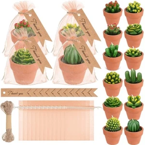 12 Piezas Vela Suculenta Mini Cactus Tealight Velas Suculentas Fiesta Favor... - Imagen 1 de 7