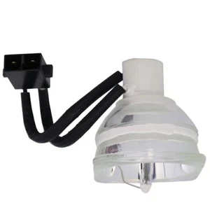 AN-SV10LP Bombilla Lámpara Original Nueva para SHARP XG-SV200X,XG-SV100W - Imagen 1 de 3