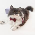 Colorful Cat Lace Bows Collar Silks Satins/Pearl Cat Saliva Towel  Photograph