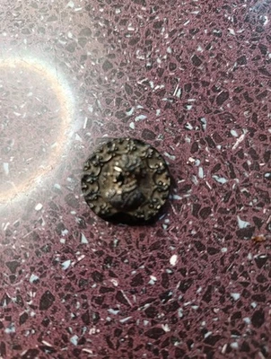 Antique Queen Elizabeth 1st Bust Jet Black Victorian Glass Button 910A Read Desc - Image 1 of 4