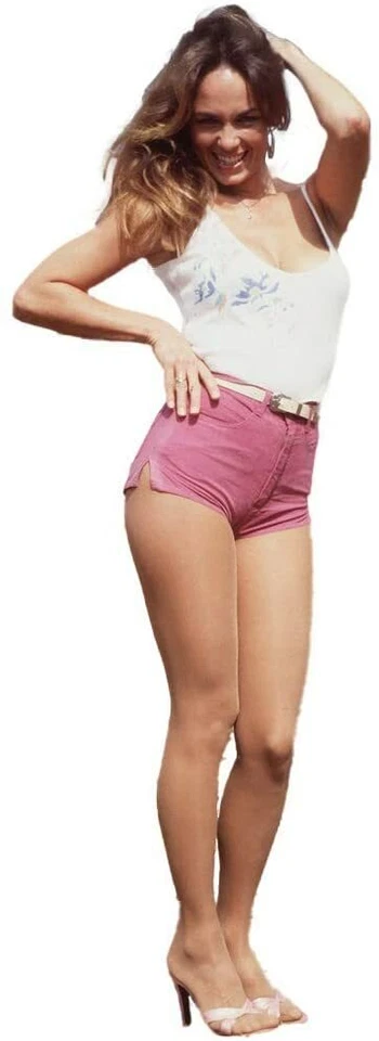 DAISY DUKES OF HAZZARD CATHERINE BACH LIFESIZE CARDBOARD STANDUP STANDEE CUTOUT